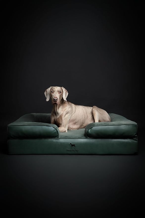 NOAH & PAW XL Dog Bed, 45x35x11 Inch, Orthopedic Large Dog Beds, Eggshell Memory Foam Infused with Cooling Gel, Inner Cover, Water Resistant, Machine Washable (Faux Leather)