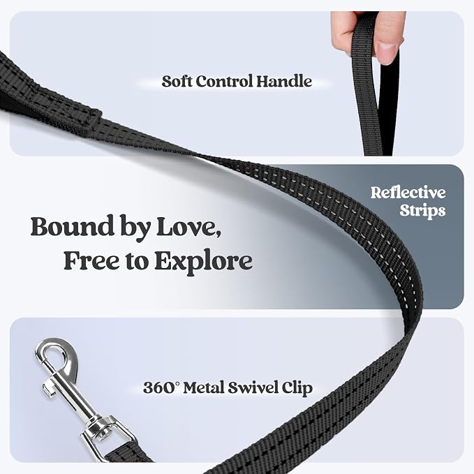 rabbitgoo Dog Harness Medium Sized and Leash Set, Step-in Puppy Pet Vest | Light, Soft, Breathable Air Mesh, Easy on and Remove with Hook & Loop, Secure Reflective for Walking, Black XXL