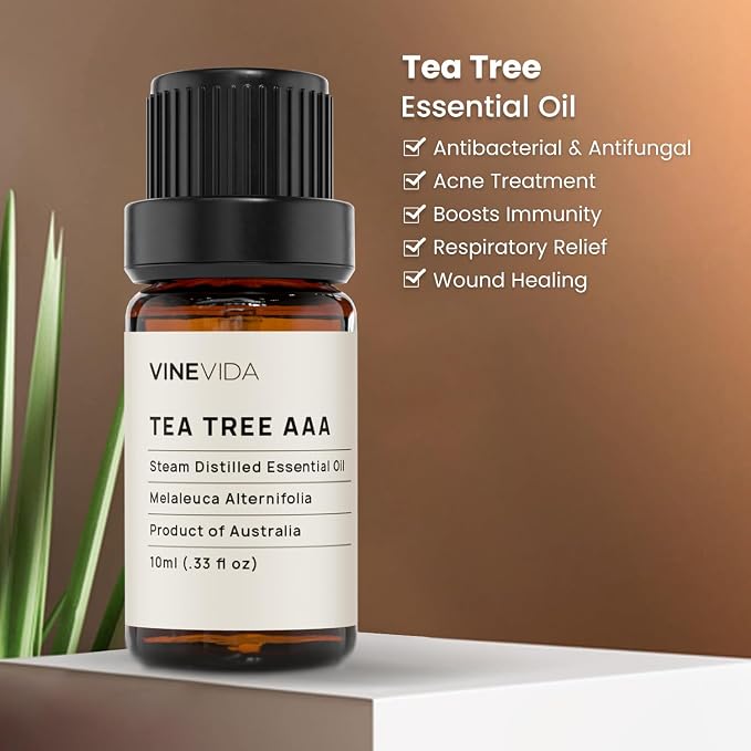 VINEVIDA Tea Tree Essential Oil - Undiluted, 10 mL - Candle Oil Scent - DIY Candle Scents