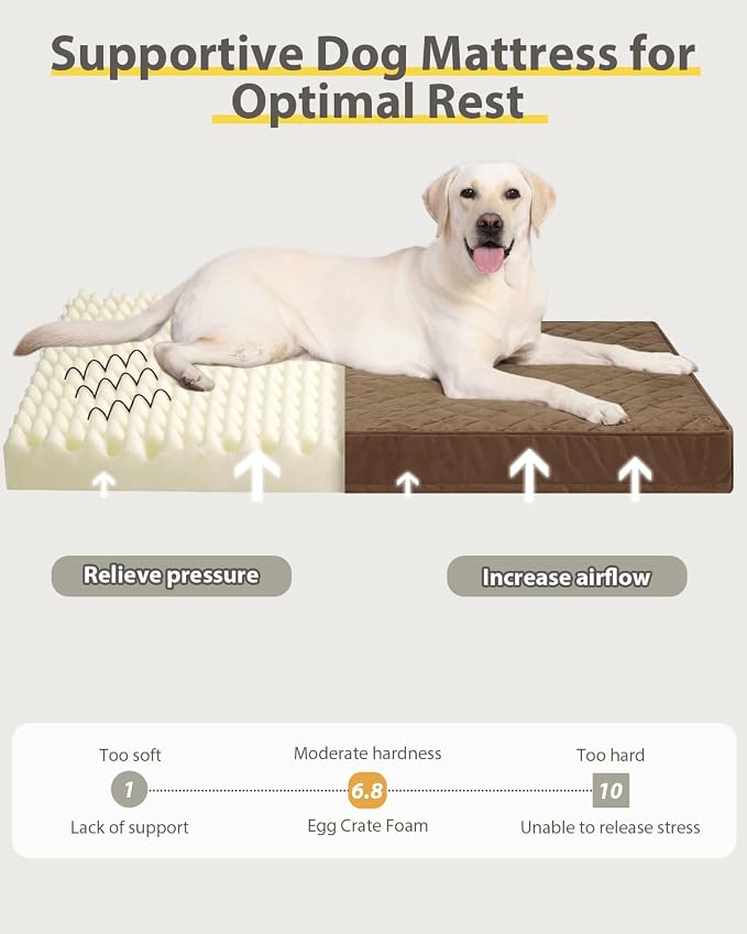 NUPIDA Orthopedic Large Dog Bed for Crate with Washable Cover, 35x22, Brown | Egg-Crate Foam, Cozy Velvet Pet Mattress, TPU Waterproof Layer, Flat Kennel Pad, Comfy Support, Non-Slip Bottom