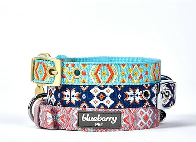 Blueberry Pet Southwestern Tribal Print Celeste Blue Adjustable Dog Collar with Metal Buckle, Neck 17-20.5", for Large Breed