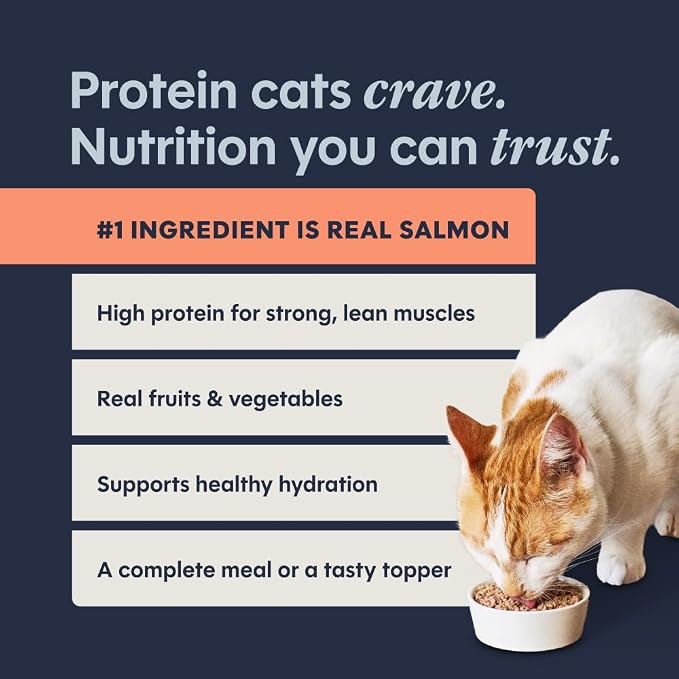 Instinct Original Pate Wet Cat Food, Grain Free Recipe - Real Salmon, 3 oz. Cans (Pack of 24) | Rich & creamy pate texture, high protein, real salmon, whole-food ingredients, grain-free, hydration support