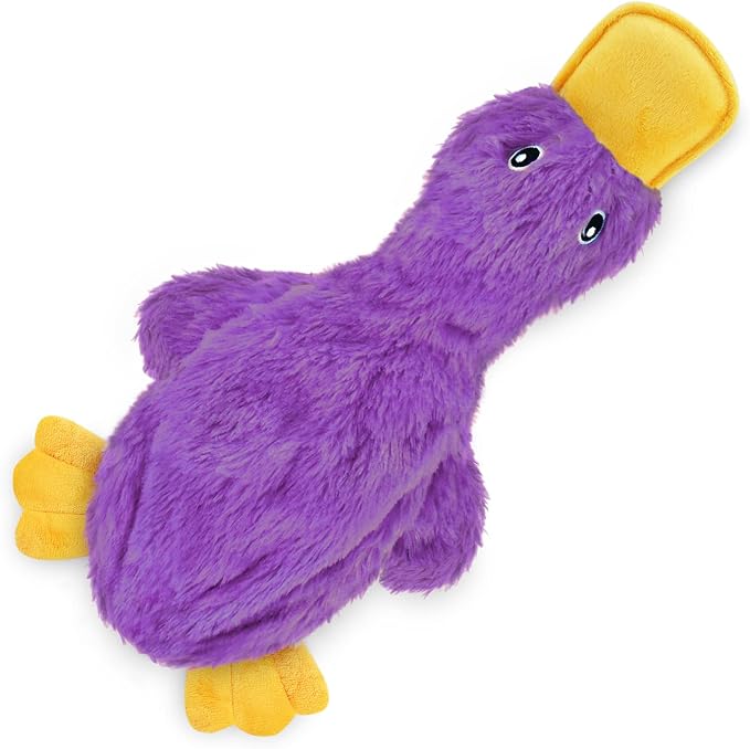 Best Pet Supplies Interactive Squeaky Dog Toy - Crinkle Duck, Purple | Stuffing Free Body, Soft, Squeaks & Crinkles, No Mess, Perfect for Moderate Chewers, Toss and Fetch Play