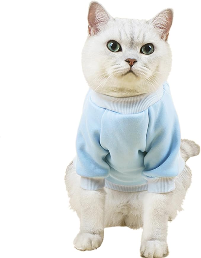 Puppy Sweater for Small Dogs Winter Pullover, Light Blue L | Elastic Cuffs Pet Clothes, Holiday Party Matching, Fall Winter Daily Outfit, Soft Breathable Machine Washable Sweatshirt