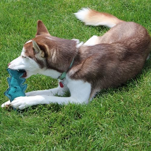 SPOT Dura-Fused Colors Fish - Colorful Leather Dog Toys with Squeaker, Made with Real Leather and Jute Fabric, Durable Stuffed Toy for Dogs and Puppies, 7in, Color and Style May Vary