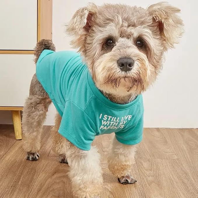 Cute Dog Clothes, T Shirt for Medium and Small Dogs Girl Boy,Puppy.Breathable Soft Dog Costume for Pet Dogs Cats, Pet Pullover Jumper, Cat Clothes (M-(7~11lb), Chest~16", Aqua)