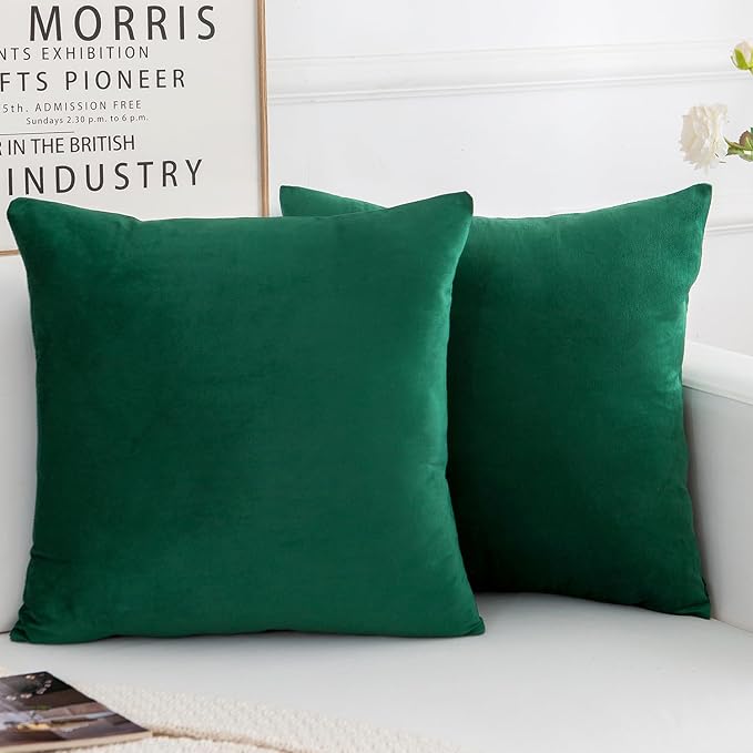 Velvet Decorative Throw Pillow Covers, Soft Square Cushion Case Home Decor for Living Room Couch Bed Sofa, Set of 2 Pack, Christmas Green, 18x18 Inch