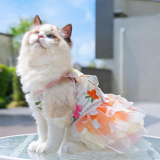Dog Rainbow Butterfly Princess Dress Summer Thin, XS | Cute Pet Cat Clothes For Yorkie Chihuahua Poodle Pomeranian French Bulldog Dachshund Teddy Dress Pet Supplies