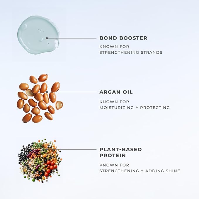 XMONDO Hair Recalibrate Bond Repair Shampoo | Vegan Formula with Bond Builder, Maracuja Oil, and Hyaluronic Acid to Restore, Strengthen, and Revitalize Dry Damaged Hair, 8 Fl Oz 1-Pack