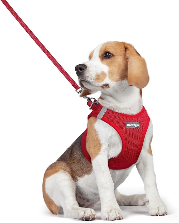 rabbitgoo Dog Harness Medium Sized and Leash Set, Step-in Puppy Pet Vest | Light, Soft, Breathable Air Mesh, Easy on and Remove with Hook & Loop, Secure Reflective for Walking, Red L