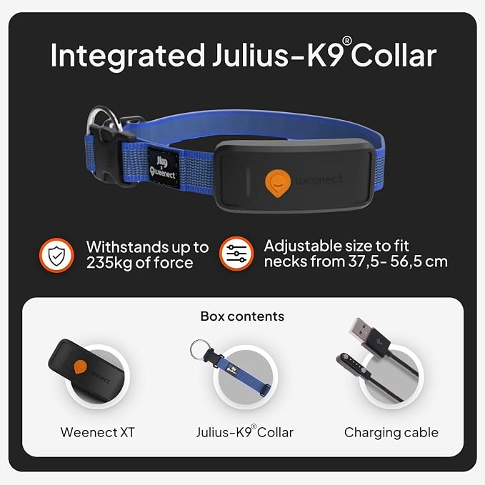 Weenect Dog XT - NEW GPS Collar for Dogs | XL Antenna | Waterproof | Ultra-Durable Integrated Julius-K9 Collar | Subscription Required