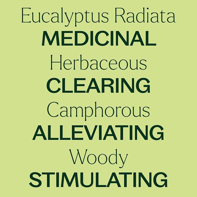 Plant Therapy Eucalyptus Radiata Essential Oil 100 mL (3.3 oz), 100% Pure, Undiluted, for Aromatherapy, Respiratory Support & Focus