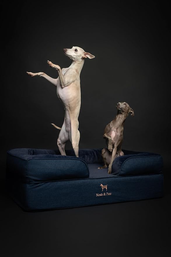 NOAH & PAW Large Dog Bed, 35x25x11 Inch, Orthopedic Dog Beds, Eggshell Memory Foam Infused with Cooling Gel, Inner Cover, Water Resistant, Machine Washable (Denim Sofa Collection)