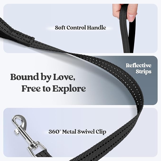 rabbitgoo Dog Harness Small Sized and Leash Set, Step-in Puppy Pet Vest | Light, Soft, Breathable Air Mesh, Easy on and Remove with Hook & Loop, Secure Reflective for Walking, Black XXXS