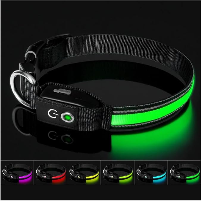 Auto Light Up Dog Collar - Smart Safety Night Collar with Motion Sensor - Auto-On in Dark - USB-C Rechargeable - 3 Day Runtime- IP65 Waterproof - M