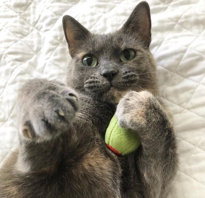 munchiecat Olive Cat Toy Set - 2-Piece Organic Catnip Toys with Soft Rattle, Perfect for Batting & Rolling - Designed for Cats, Ideal Gift for Cat Lovers