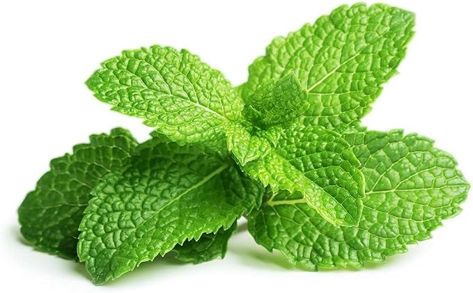 Peppermint Massage Oil Blend - Natural, Non-GMO, Peppermint Essential Oil Mix of Jojoba, Argan, Grapeseed & More - 32 oz - Soothing, Deep Tissue, Muscles - Packaging May Vary