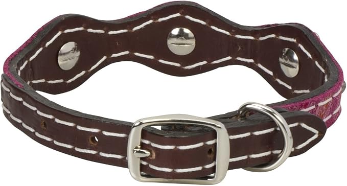 Vintage Paisley Collar