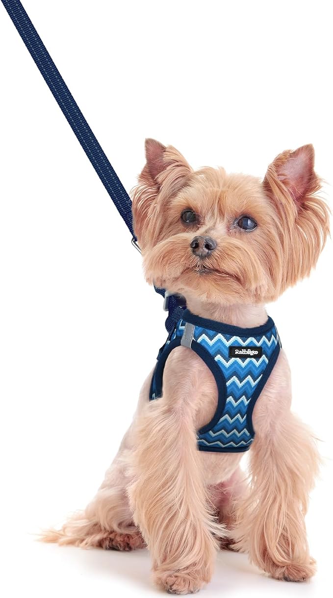 rabbitgoo Dog Harness Small Sized and Leash Set, Step-in Puppy Pet Vest | Light, Soft, Breathable Air Mesh, Easy on and Remove with Hook & Loop, Secure Reflective for Walking, Blue Zigzag XXS