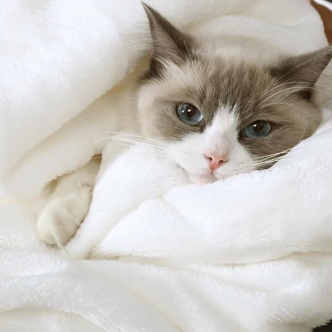 Hansleep King White Fleece Blanket, Soft Flannel Bed Blanket | Fuzzy Cozy Blanket 90x108 Inches, Multi-use for Bed, Sofa, Couch, Travel, Camping, All Season Warm Lightweight Cover