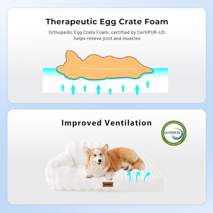 ZOMISIA Orthopedic Cat Couch Bed for Indoor Cats, Removable Washable Cover | 24x18'' Cute Cat Sofa Bed, Neck-Friendly Bolster, Pet Couch Bed with Supportive Egg Foam for Small Dogs Puppy Kitten, White