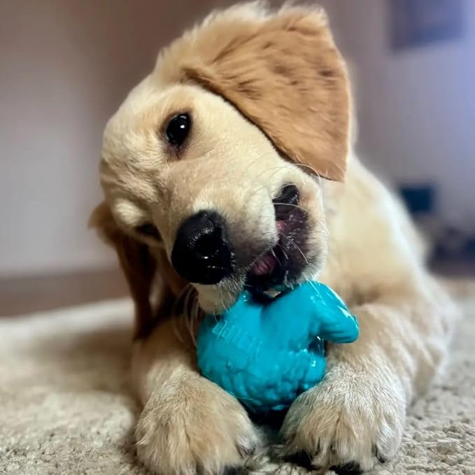 Yeti Puff & Play Interactive Dog Toy, Nugget Treat Dispenser, Blue Yeti