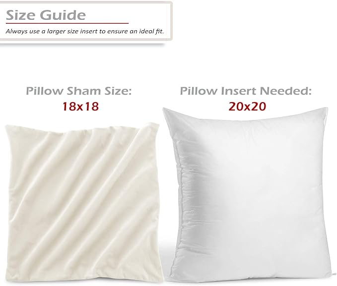 Throw Pillow Inserts Pack of 2 with Velvet Soft Solid Decorative Square Throw Pillow Covers Set for Sofa Couch Car Bedroom, 20X20 Throw Pillows Inserts with 18x18 Washable Cushion Covers, Off White