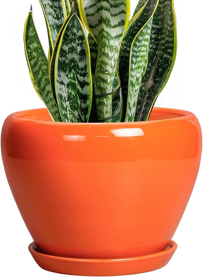 Ceramicfor Indoor Plant Pot 8 Inch - Ceramic Plant Pot with Drainage Hole and Saucer, Glaze Decorative Modern Round Planter for Outdoor Plants, Housewarming Gifts, Office Home Garden Decor, Orange