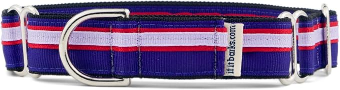 If It Barks 1" Martingale Collar Handmade OC Stripe, Small, Jelly