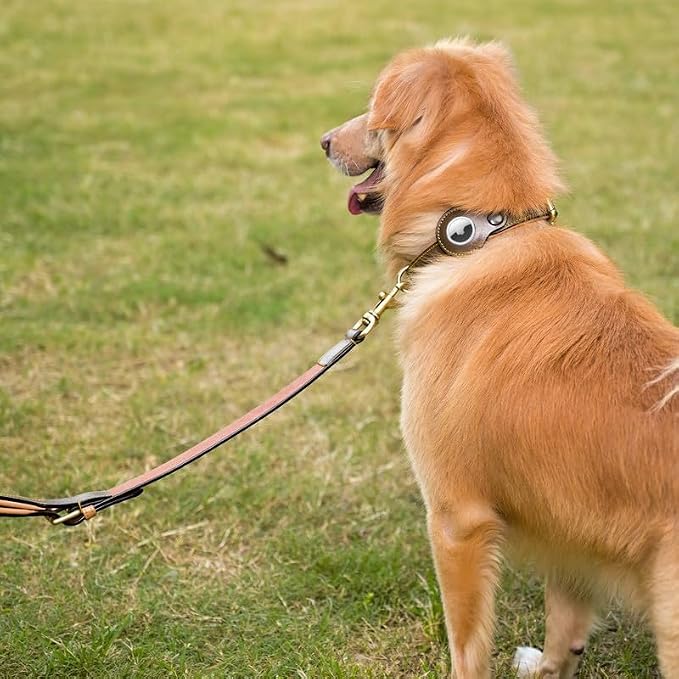Airtag Luxury Real Leather | Genuine Leather Soft Padded Dog Collar for Medium Large Dogs | Leather with Anti -Rust Hardware (Size - L) Fits Neck 18, 19, 20 & 21 inches