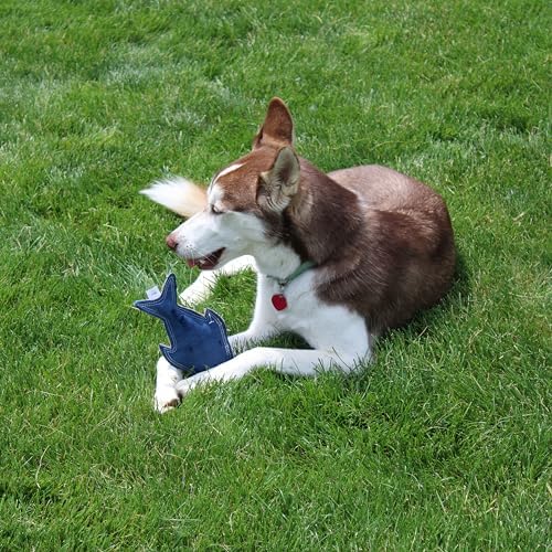 SPOT Dura-Fused Colors Fish - Colorful Leather Dog Toys with Squeaker, Made with Real Leather and Jute Fabric, Durable Stuffed Toy for Dogs and Puppies, 7in, Color and Style May Vary