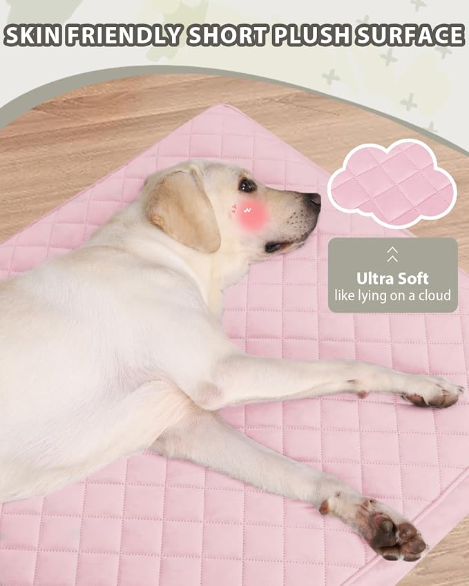 NUPIDA Orthopedic XL Dog Crate Beds Large Sized with Washable Cover, 41x27 | Egg-Crate Foam, Cozy Velvet Pet Mattress, TPU Waterproof Layer, Comfy Support, Anti-Slip Base, Big Large Breeds up to 80lbs