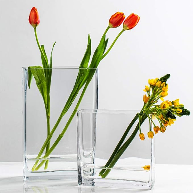 WGV Glass Rectangle Block Vase Bulk, Width x Length 2" x 5", Height 6", Clear Floral Planter Container Votive Candle Holder Wedding Party Event, Home Office Decor, 24 Pieces