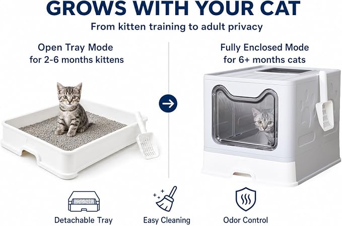 Medario Cat Litter Box with Litter Mat and Scoop (Grey) | Large Covered Litter Box with Lid, Enclosed Kitty Box, Front Entry Top Exit, Odor Control, Easy to Clean