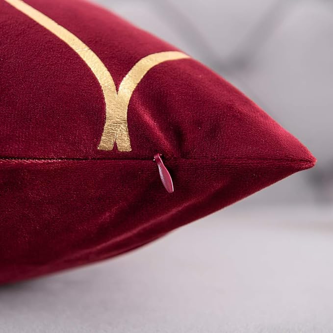 Gold Velvet Throw Pillow Covers: 2 Pack 22x22 Inch Square Decorative Pillow Cases for Bedroom Sofa Couch Living Room, Christmas Burgundy Red