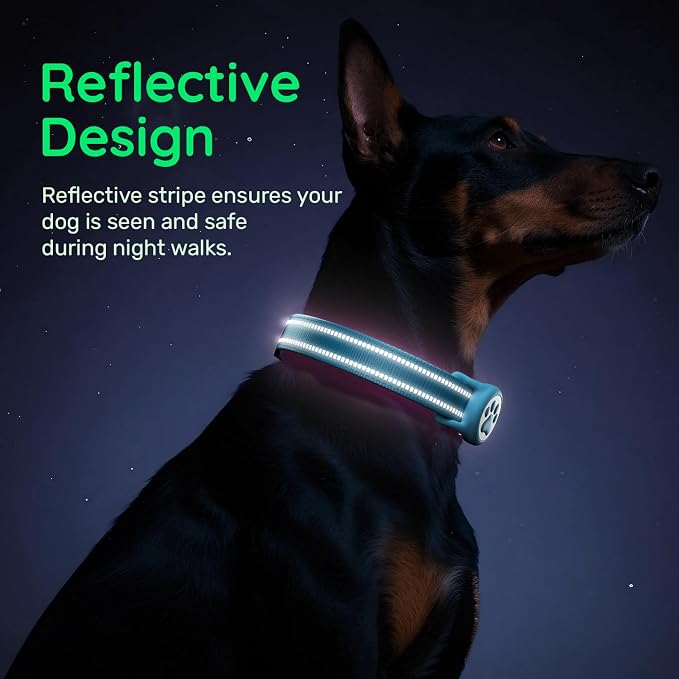 Premium Airtag Dog Collar，with IP68 Waterproof AirTag Holder,Blue,S | Soft,Breathable,Nylon Padded,Reflective,Ultra-Durable Buckle,Adjustable,Comfortable for Small Medium Large Dogs