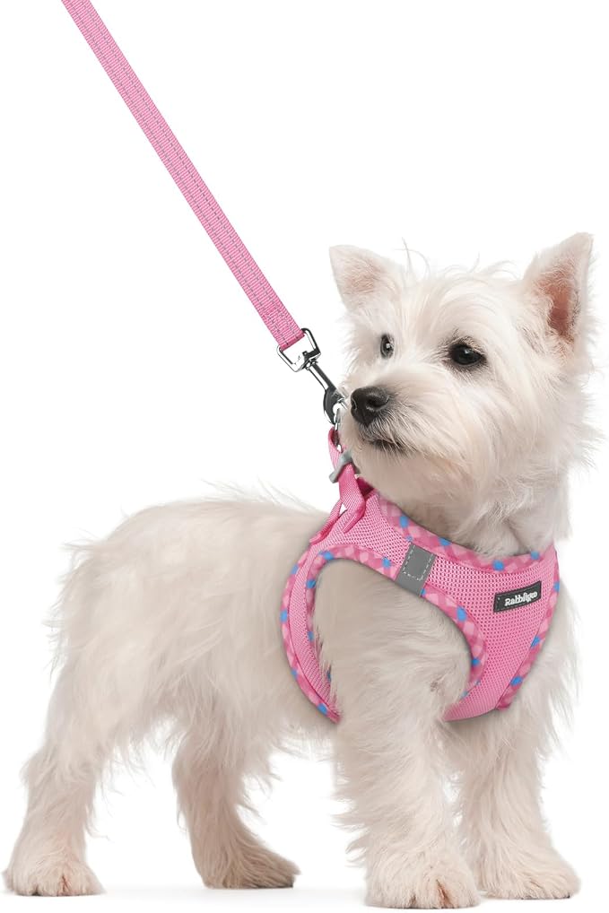 rabbitgoo Dog Harness Small Sized and Leash Set, Step-in Puppy Pet Vest | Light, Soft, Breathable Air Mesh, Easy on and Remove with Hook & Loop, Secure Reflective for Walking, Pink & Plaid Trim S