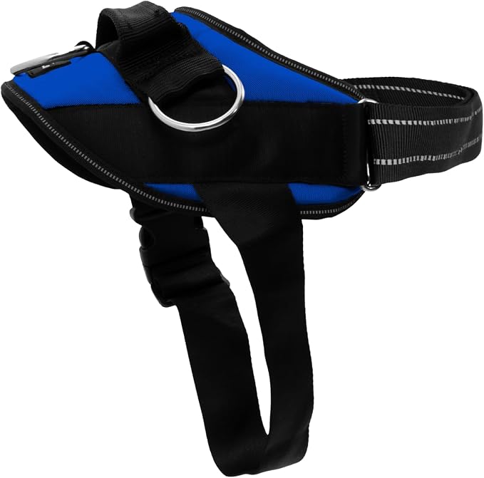 ShawnCo Essential Dog Harness, No-Pull Pet Vest (Electric Blue,L) | 3 Leash Clips, Easy On, No-Choke, Reflective, Adjustable Fit, Padded Comfort, Control Handle, For Small, Medium & Large Dogs