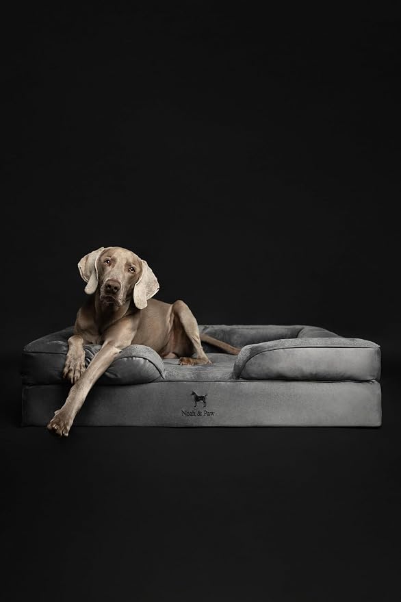 NOAH & PAW XL Dog Bed, 45x35x11 Inch, Orthopedic Large Dog Beds, Eggshell Memory Foam Infused with Cooling Gel, Inner Cover, Water Resistant, Machine Washable (Velvet Sofa Collection)