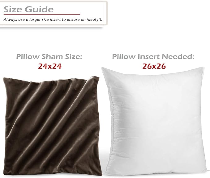 Throw Pillow Inserts Pack of 2 with Velvet Soft Solid Decorative Square Throw Pillow Covers Set for Sofa Couch Car Bedroom, 26X26 Throw Pillows Inserts with 24x24 Washable Cushion Covers, Dark Brown