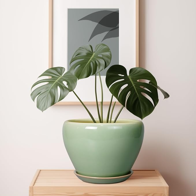 Ceramicfor Ceramic Planter Pot - 10 Inch Plant Pot for Indoor Plants Decorative Planter with Drainage Hole and Saucer Large Pot for Plants Outdoor Round Flower Pot for Garden Green