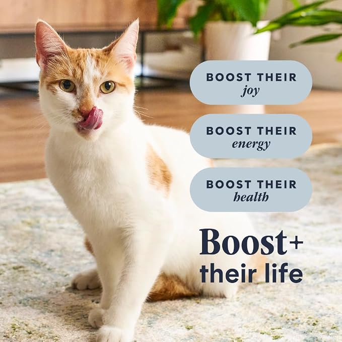 Instinct RawBoost, Dry Cat Food + Freeze Dried, Real Chicken, 5 lb. Bag | High-protein kibble with FreshDried raw bites, grain-free, cage-free chicken recipe, minimally processed, complete nutrition