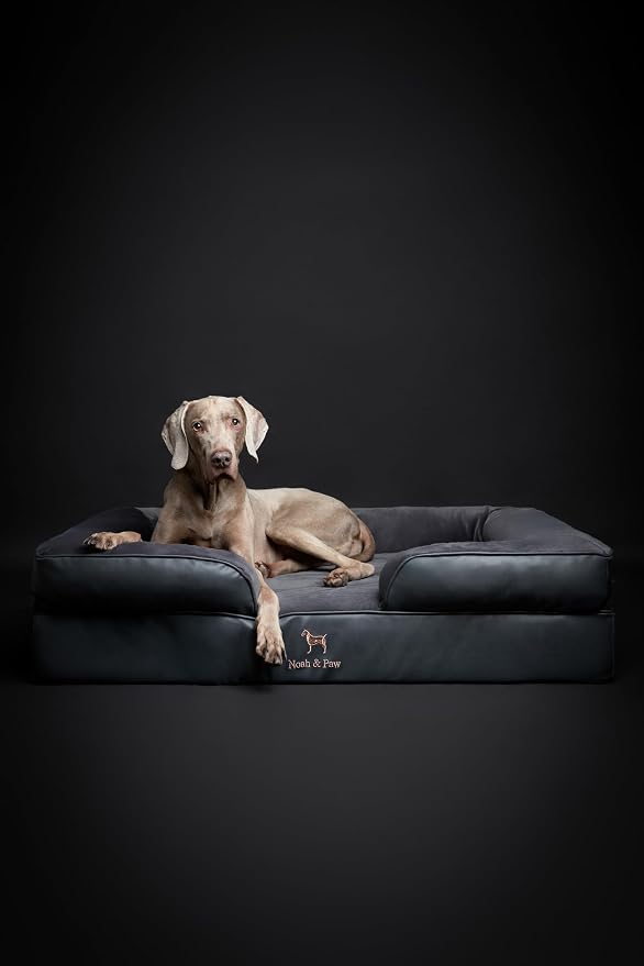 NOAH & PAW XL Dog Bed, 45x35x11 Inch, Orthopedic Large Dog Beds, Eggshell Memory Foam Infused with Cooling Gel, Inner Cover, Water Resistant, Machine Washable (Faux Leather)