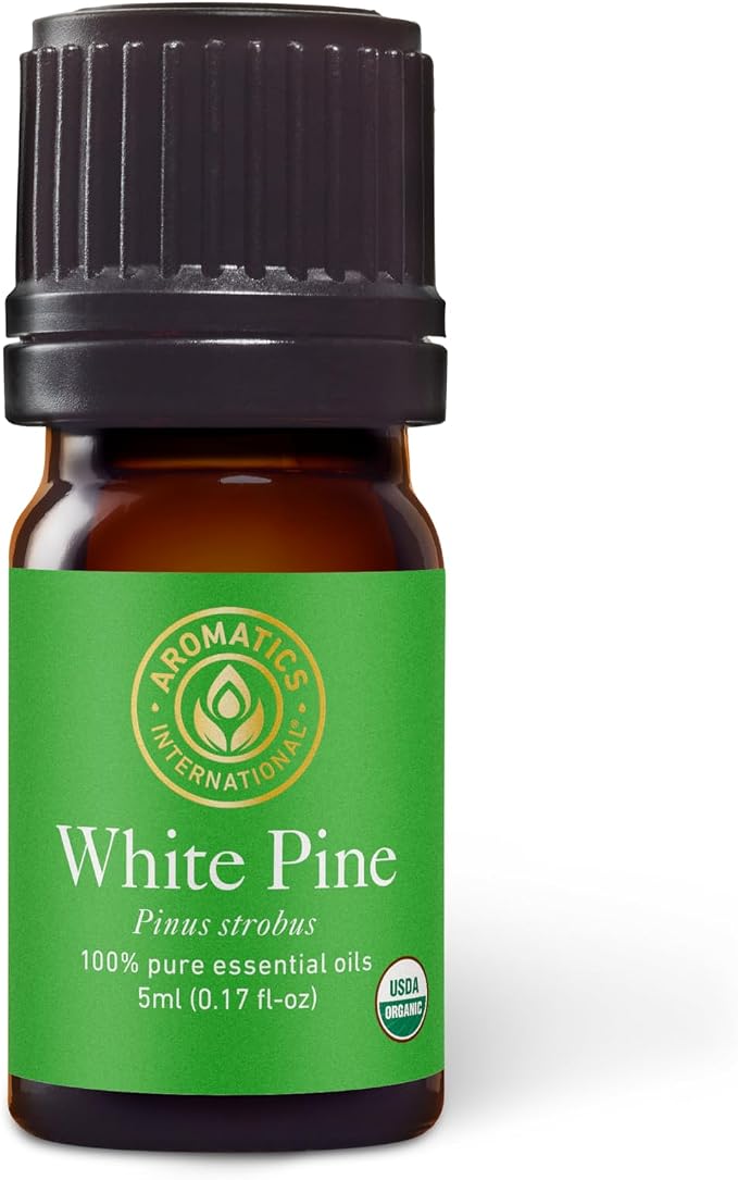 Aromatics International Organic White Pine Essential Oil 5ml | Steam Distilled from Canadian Pinus strobus |100% Pure Premium Essential Oil for Diffusion & Aromatherapy
