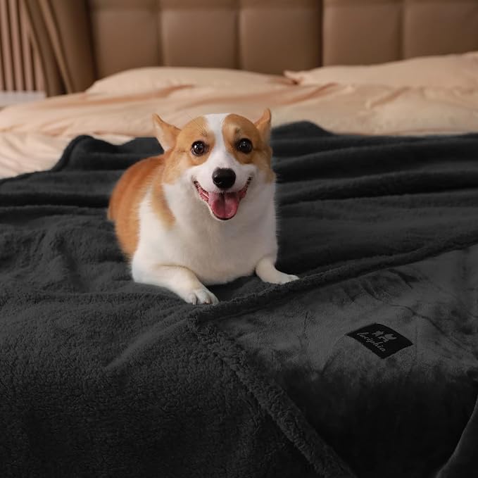 Luciphia Waterproof Blanket for Large Dog, Reversible Sherpa Couch Cover | waterproof pet blanket sherpa fleece reversible couch cover bed protector from spills scratches, Black 65" x 57"