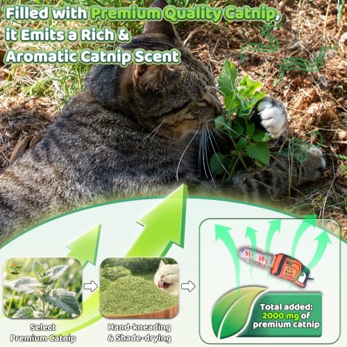 Catnip Toy [2000mg Premium Catnip], Chainsaw Style Cat Kicker Toy