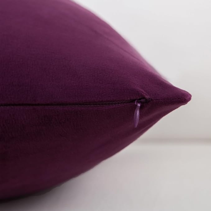 Velvet Decorative Throw Pillow Covers, Soft Square Cushion Case Home Decor for Living Room Couch Bed Sofa, Set of 2 Pack, Eggplant Purple, 18x18 Inch
