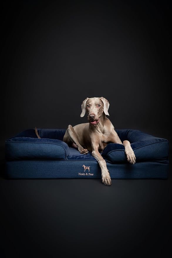 NOAH & PAW XL Dog Bed, 45x35x11 Inch, Orthopedic Large Dog Beds, Eggshell Memory Foam Infused with Cooling Gel, Inner Cover, Water Resistant, Machine Washable (Denim Sofa Collection)