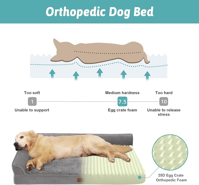 COZY KISS Orthopedic Dog Bed for Extra Large Dogs, L Shaped XL 42x30 inch | Non-Slip Bottom Soft Pet Sofa with Washable Removable Waterproof Cover, Egg-Crate Foam Couch with Portable Handle, Grey