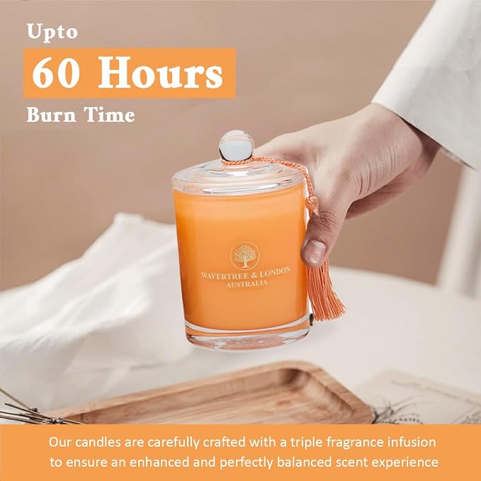 Luxury Peach Bellini Soy Wax Candle - Hand Poured in Australia, 11.66 oz Glass Jar Fancy Candle, Strong Scented, Non-Toxic, Long Lasting 60 Hour Burn, Refreshing Natural Citrus Candle Gift